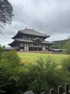 Gita di un Giorno a Nara da Kyoto: Templi, Grande Buddha e i Cervi Sacri