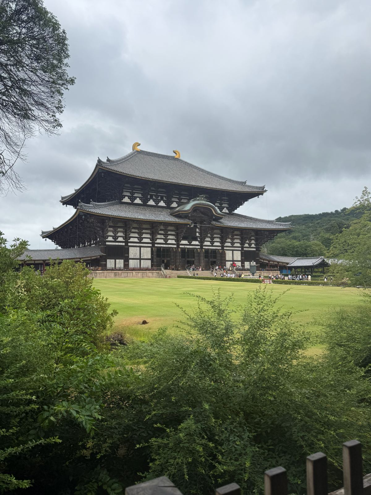 Il Daibutsuden del Tōdai-ji a Nara visto dal prato