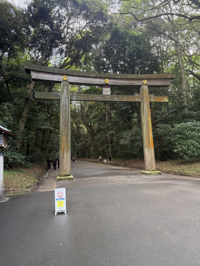 Il grande torii di legno del Meiji Jingū immerso nella foresta