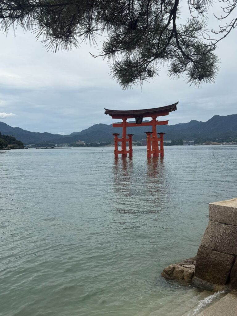 Il torii di Miyajima inquadrato tra i rami di un pino sulla riva