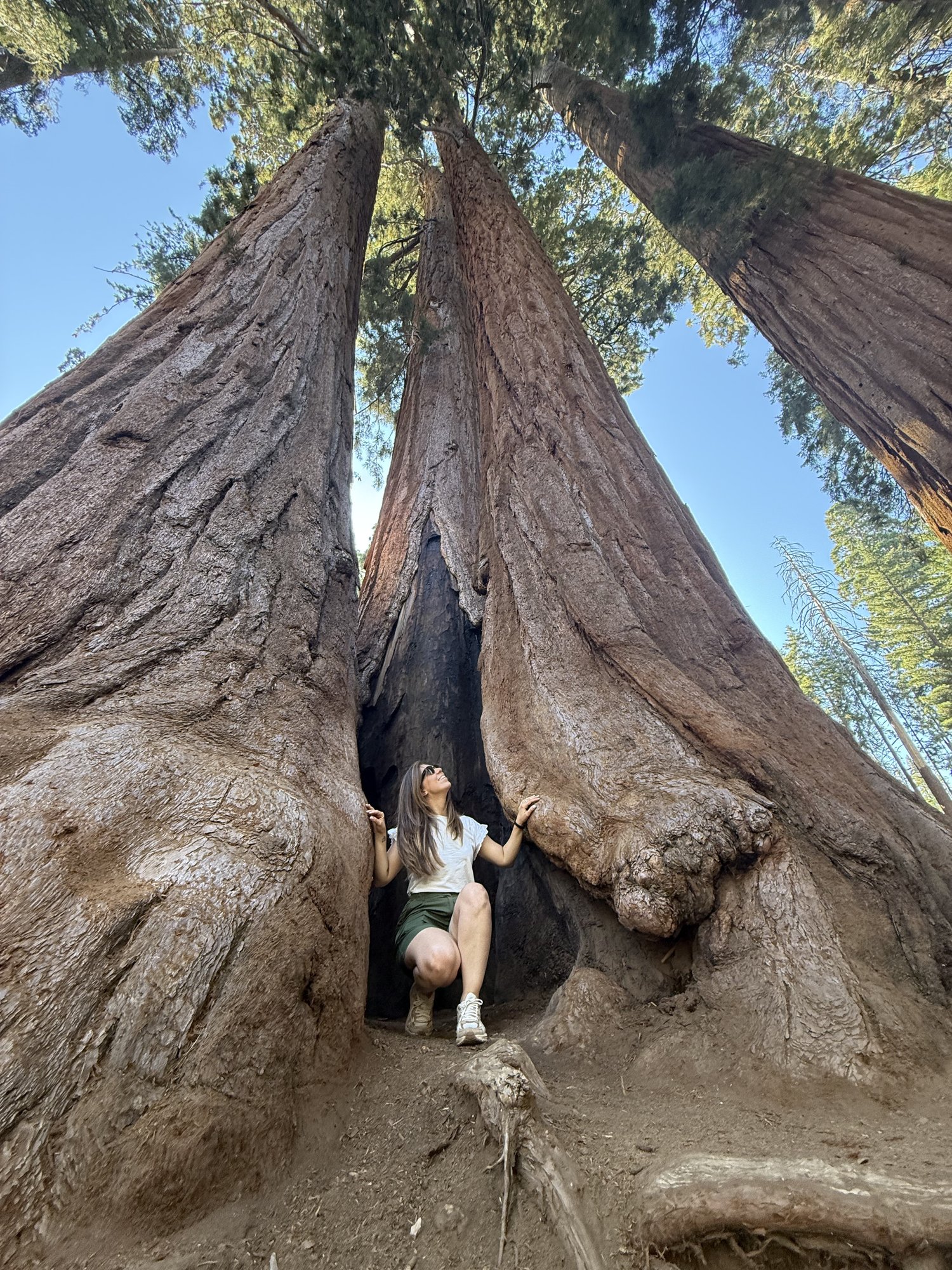 Manuela tra le sequoie giganti, Sequoia National Park