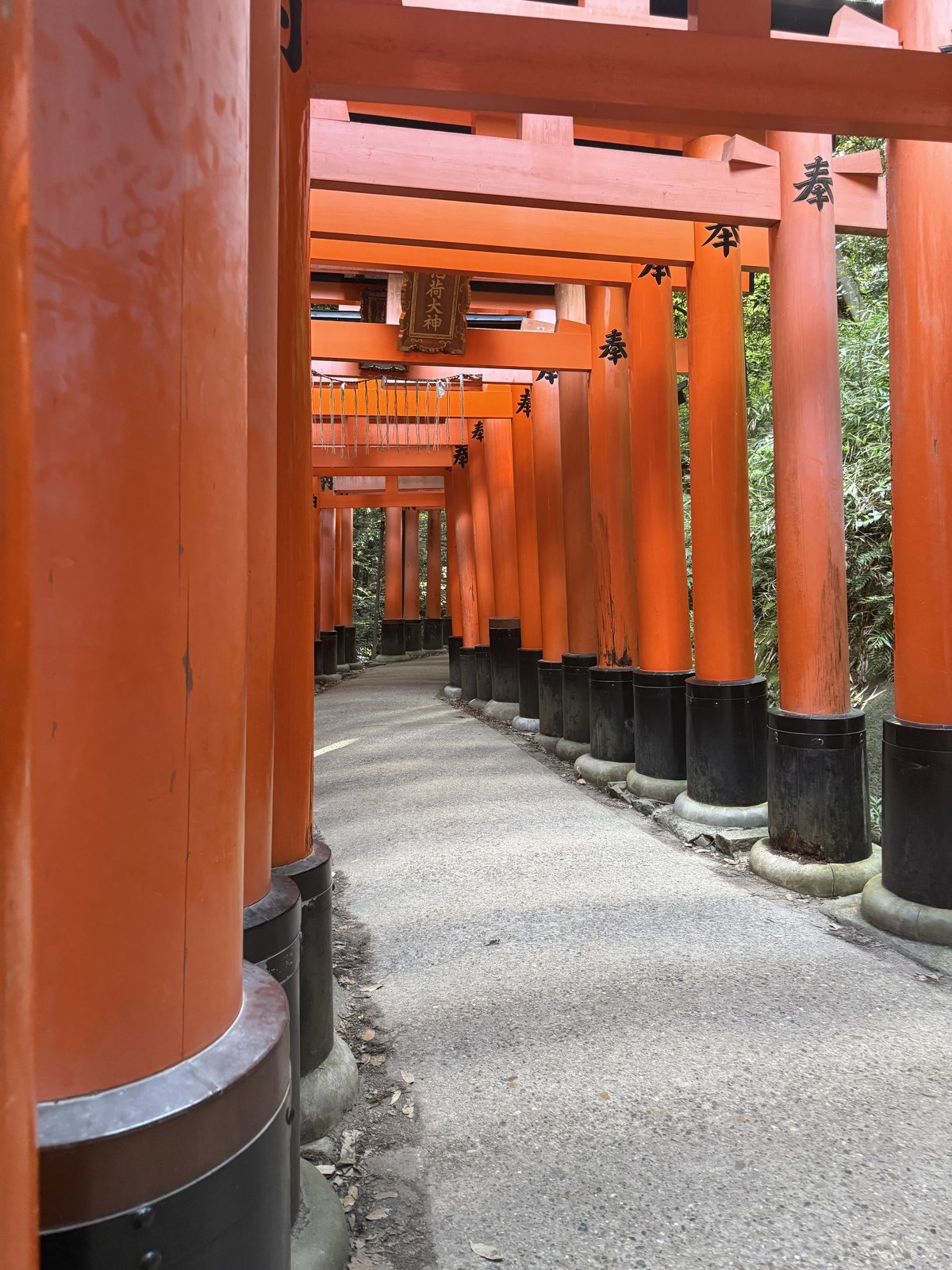 Fushimi Inari Taisha, Kyoto