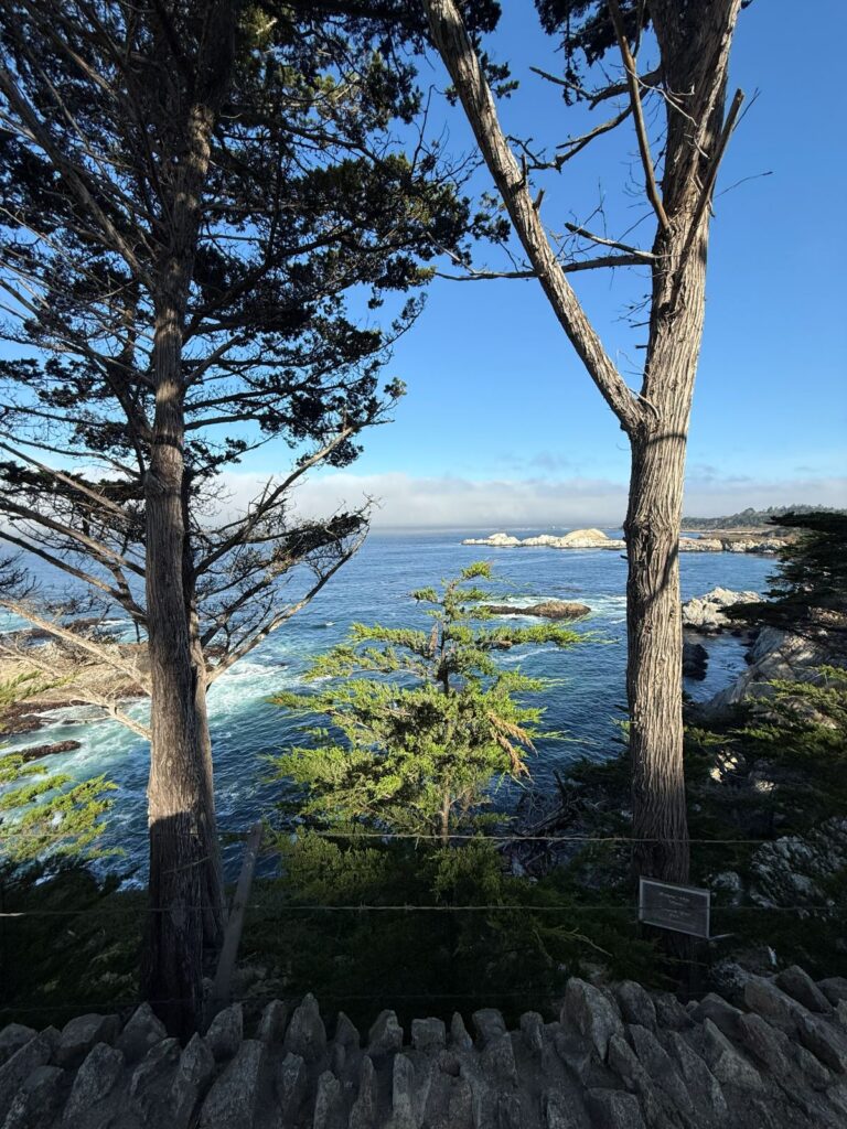 I cipressi di Monterey piegati dal vento sulla costa di Point Lobos