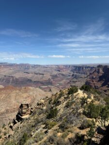 South Rim del Grand Canyon: Watchtower, Moran e Mather Point