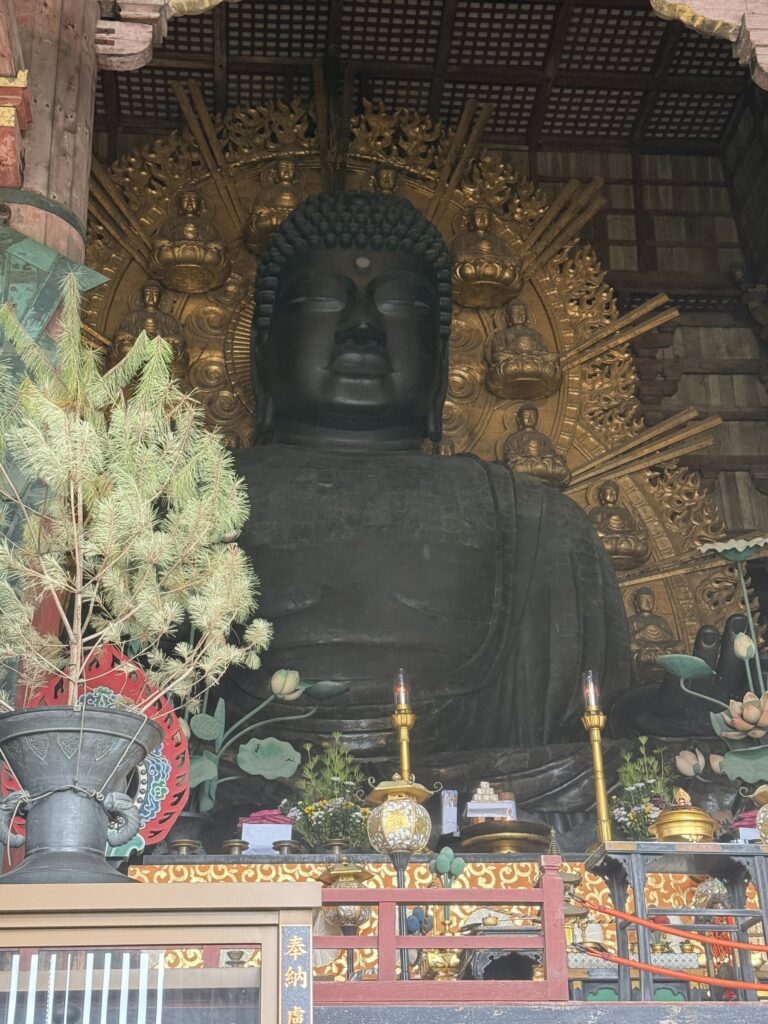Statua del Grande Buddha allinterno del Todai-ji a Nara