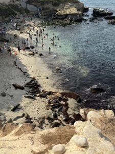 Coronado Island e La Jolla: le Spiagge più Belle di San Diego