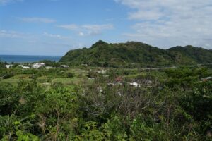 Il Segreto della Longevità di Okinawa: Dieta, Ikigai e Moai