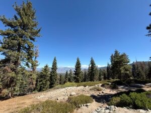Dove Dormire a Sequoia