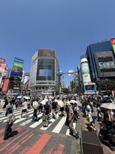 Quando Partire per Tokyo: il Periodo Migliore Mese per Mese