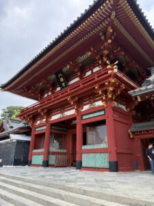 Tsurugaoka Hachimangū: lo Shogun, i Laghetti Genpei e il Viale dei Ciliegi di Kamakura