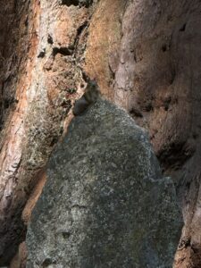 Moro Rock e Crescent Meadow Trail: le Escursioni Imperdibili