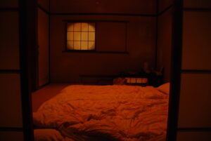 Ryokan a Hakone: Zone, Onsen e Fasce di Prezzo per Scegliere
