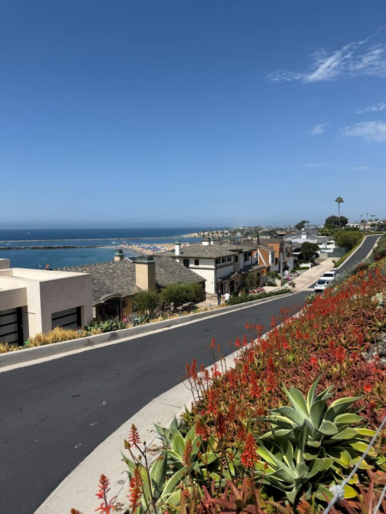 Una strada costiera californiana che scende verso una baia con il porto