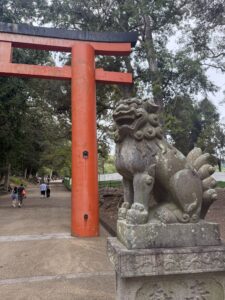 Kasuga Taisha: il Cervo Bianco, la Foresta Sacra e i Glicini di Nara