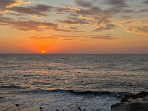 La Pacific Coast Highway: da Malibu a Monterey lungo la Costa 1