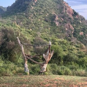 Alba sulla savana del Parco Tsavo con le colline in lontananza