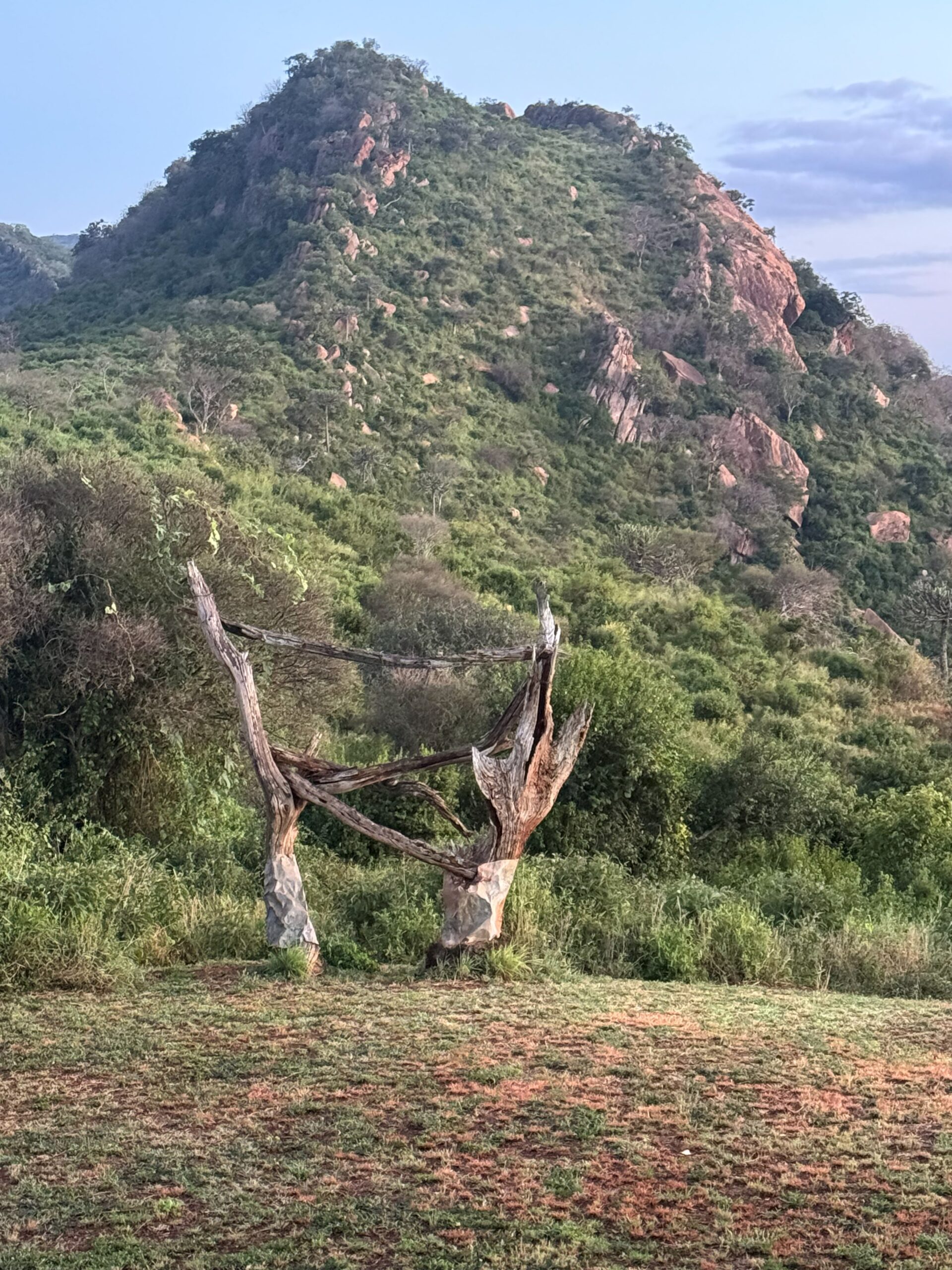 Alba sulla savana del Parco Tsavo con le colline in lontananza
