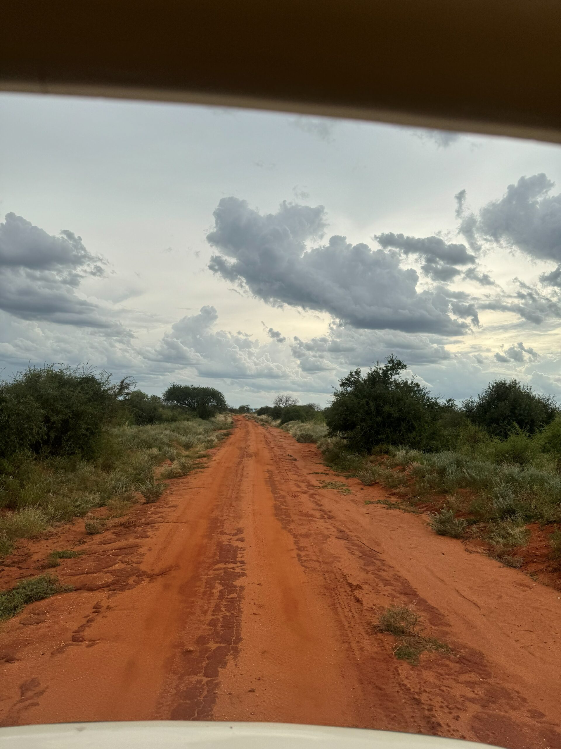 Pista rossa nel Parco Tsavo Ovest, Kenya, con minivan safari