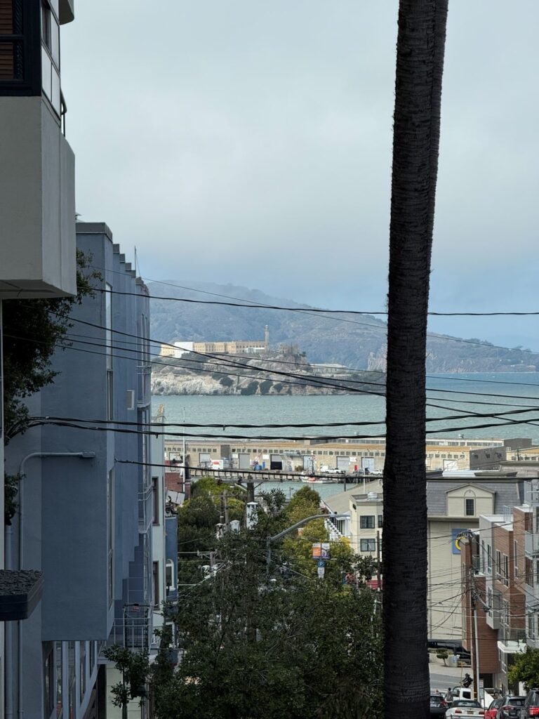 Una via in discesa di San Francisco con Alcatraz e la baia sullo sfondo