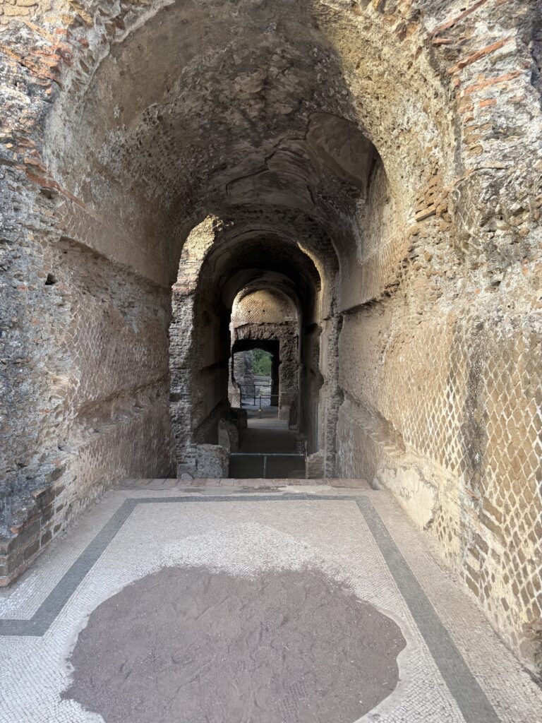 Corridoio dell'Hospitalia di Villa Adriana con pavimento a mosaico originale