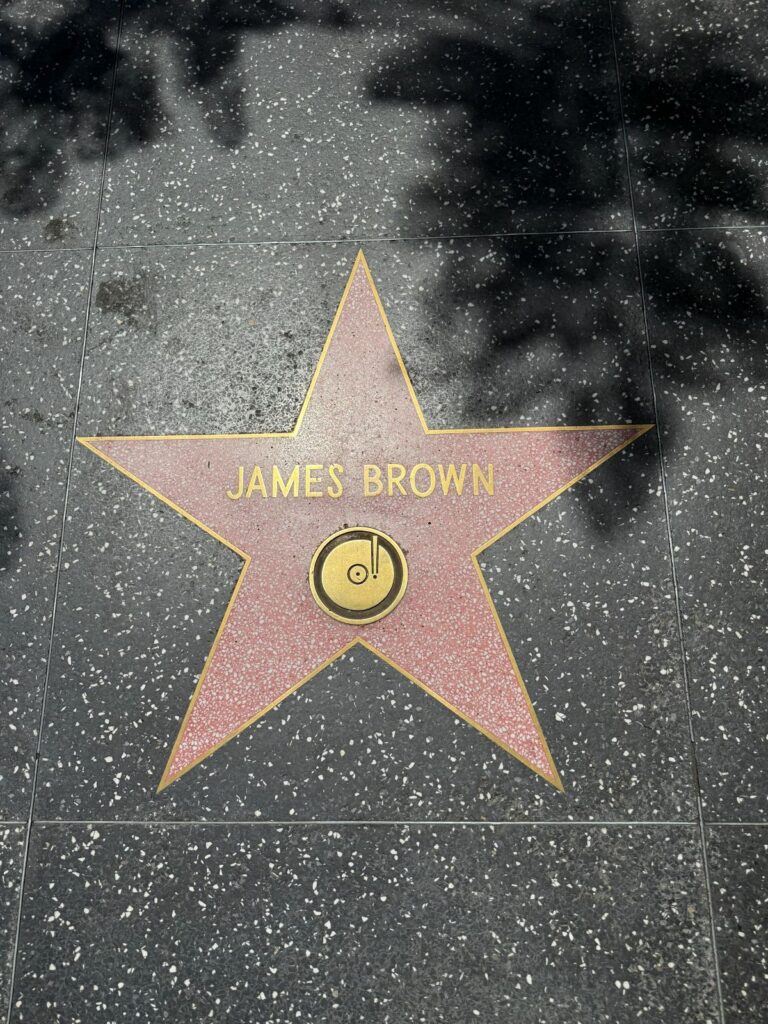 Una stella rosa della Walk of Fame incastonata nel marciapiede